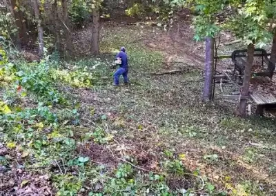 Landscaping Services