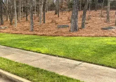 Landscaping Services