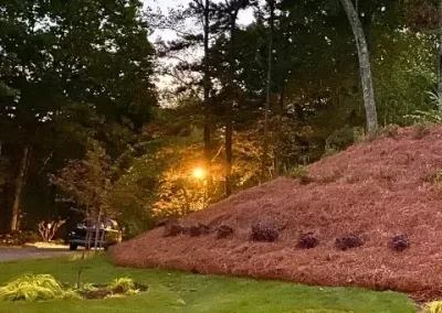 Landscaping Services