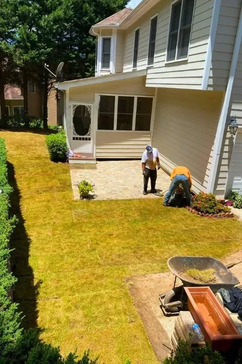 Lawn Care