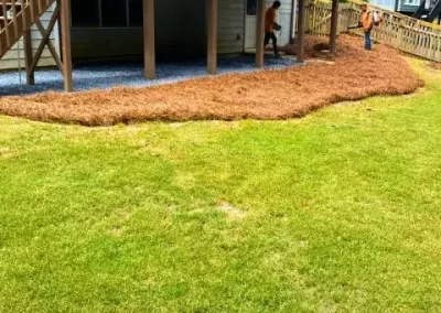 Mulching
